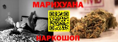 сатива Аргун