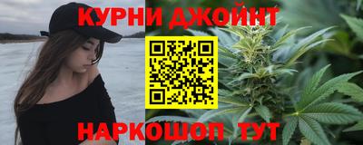 сатива Аргун