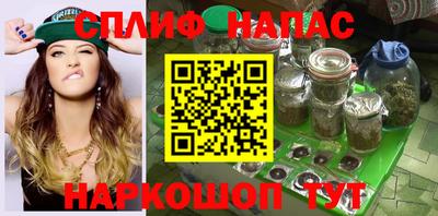 сатива Аргун