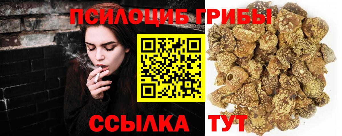 даркнет сайт  Вход с VPN  Ачхой-Мартан  Галлюциногенные грибы ЛСД 