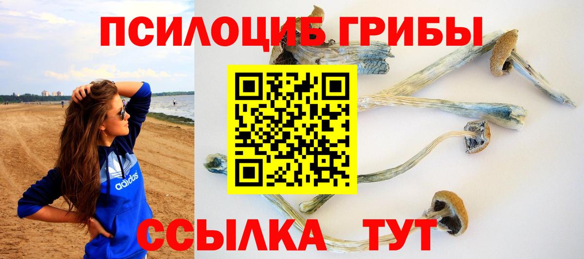 Галлюциногенные грибы прущие грибы Ачхой-Мартан